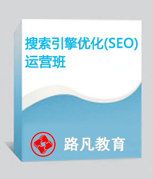 搜索引擎优化（SEO）运营班