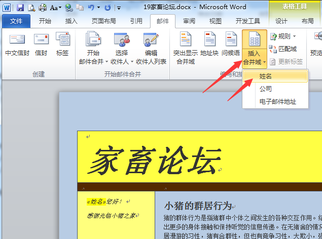 office培训