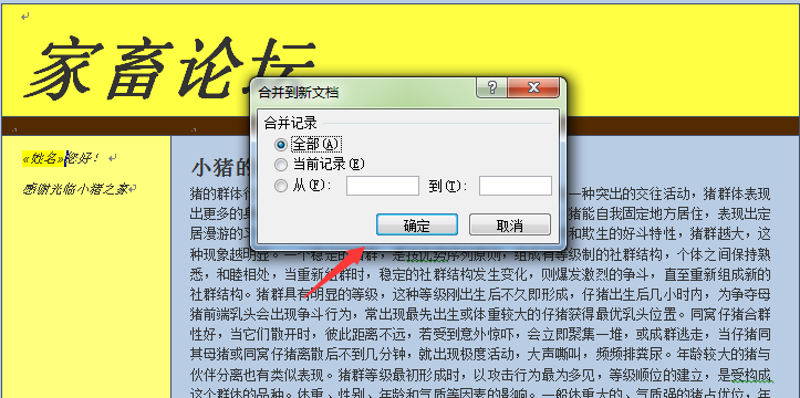 office培训